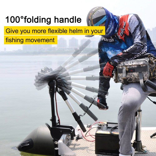 Haswing Protruar