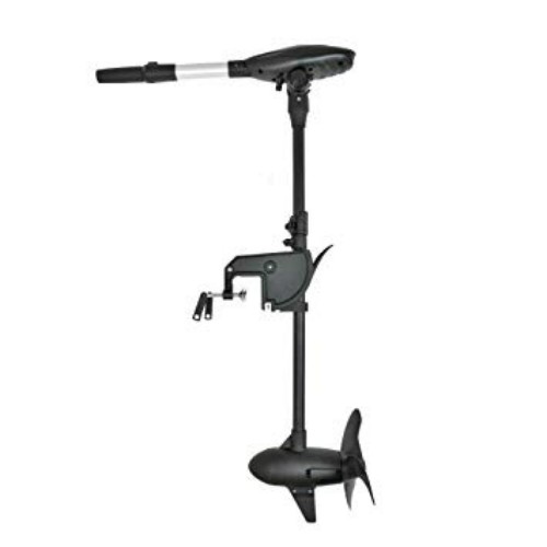 Haswing Protruar Transom Electric Trolling Motor