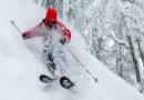 All Mountain Skis