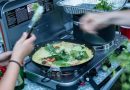 Best camping stove