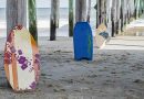 Wood Skimboard
