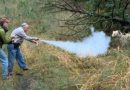 The 5 Best Bear Sprays of 2026