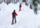The 6 Best Snowshoes For Mountaineering of 2024