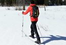 Best Cross Country Skis