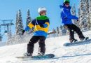 Beginner Snowboards