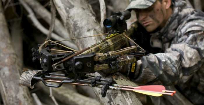best-crossbow