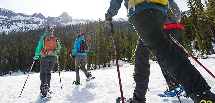 Hiking Snowshoes